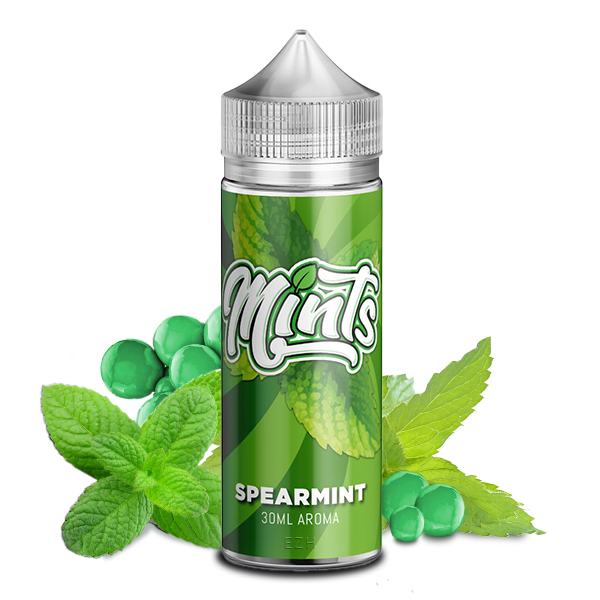 MINTS Spearmint Aroma 30ml