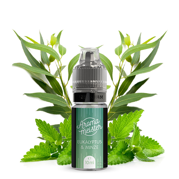 AROMAMEISTER Eukalyptus & Minze Aroma 10ml