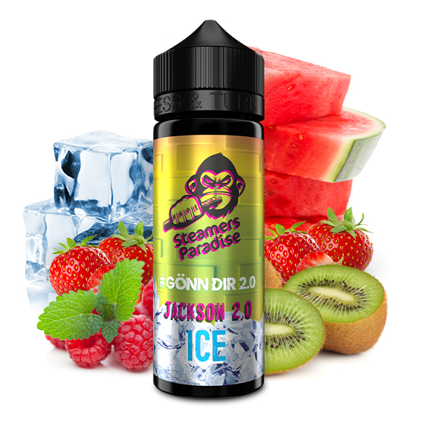 HASHTAG GÖNN DIR 2.0 Jackson 2.0 Ice Aroma 20ml