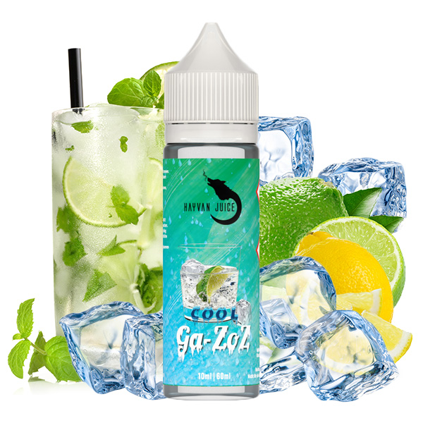 HAYVAN JUICE Cool Ga-zoz Aroma 10ml