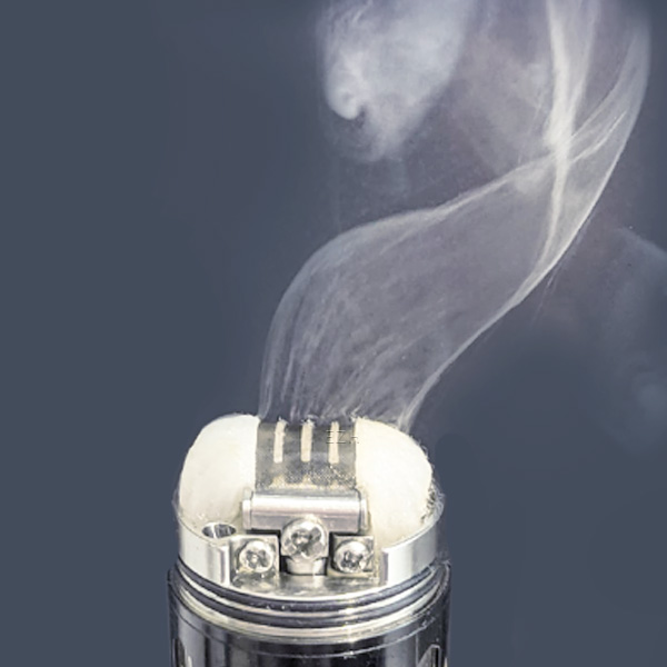 5x The Real M Profile RDTA 3er SS316 Mesh 500 Coil Wickeldraht