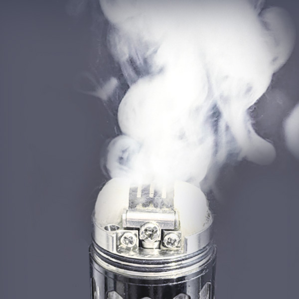 5x The Real M Profile RDTA 3er SS316 Mesh 500 Coil Wickeldraht