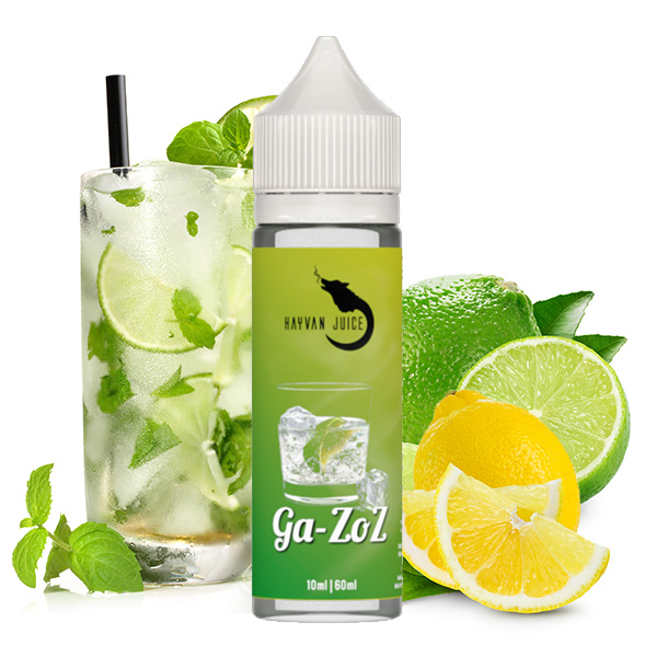 HAYVAN JUICE Ga-zoz Aroma 10ml