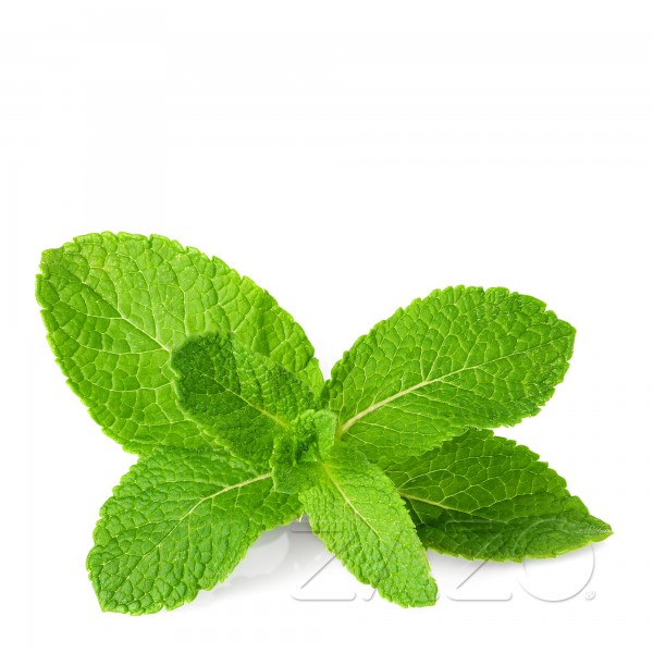 Mint 10ml