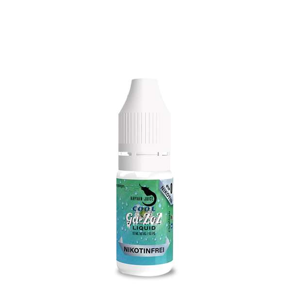 HAYVAN JUICE Cool Ga-zoz Liquid 10ml